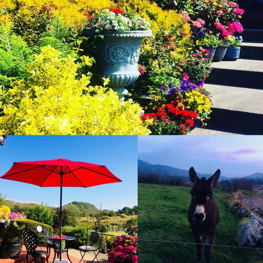 Hillcrest Farmhouse Bed & Breakfast Boyhollagh Εξωτερικό φωτογραφία
