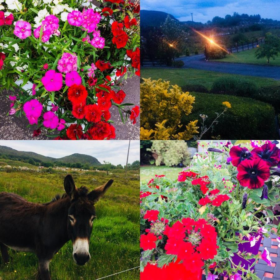 Hillcrest Farmhouse Bed & Breakfast Boyhollagh Εξωτερικό φωτογραφία