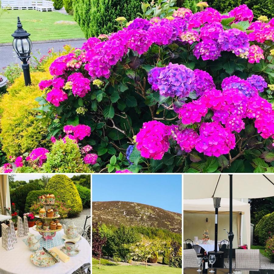 Hillcrest Farmhouse Bed & Breakfast Boyhollagh Εξωτερικό φωτογραφία