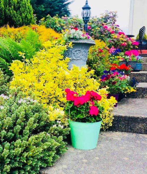 Hillcrest Farmhouse Bed & Breakfast Boyhollagh Εξωτερικό φωτογραφία